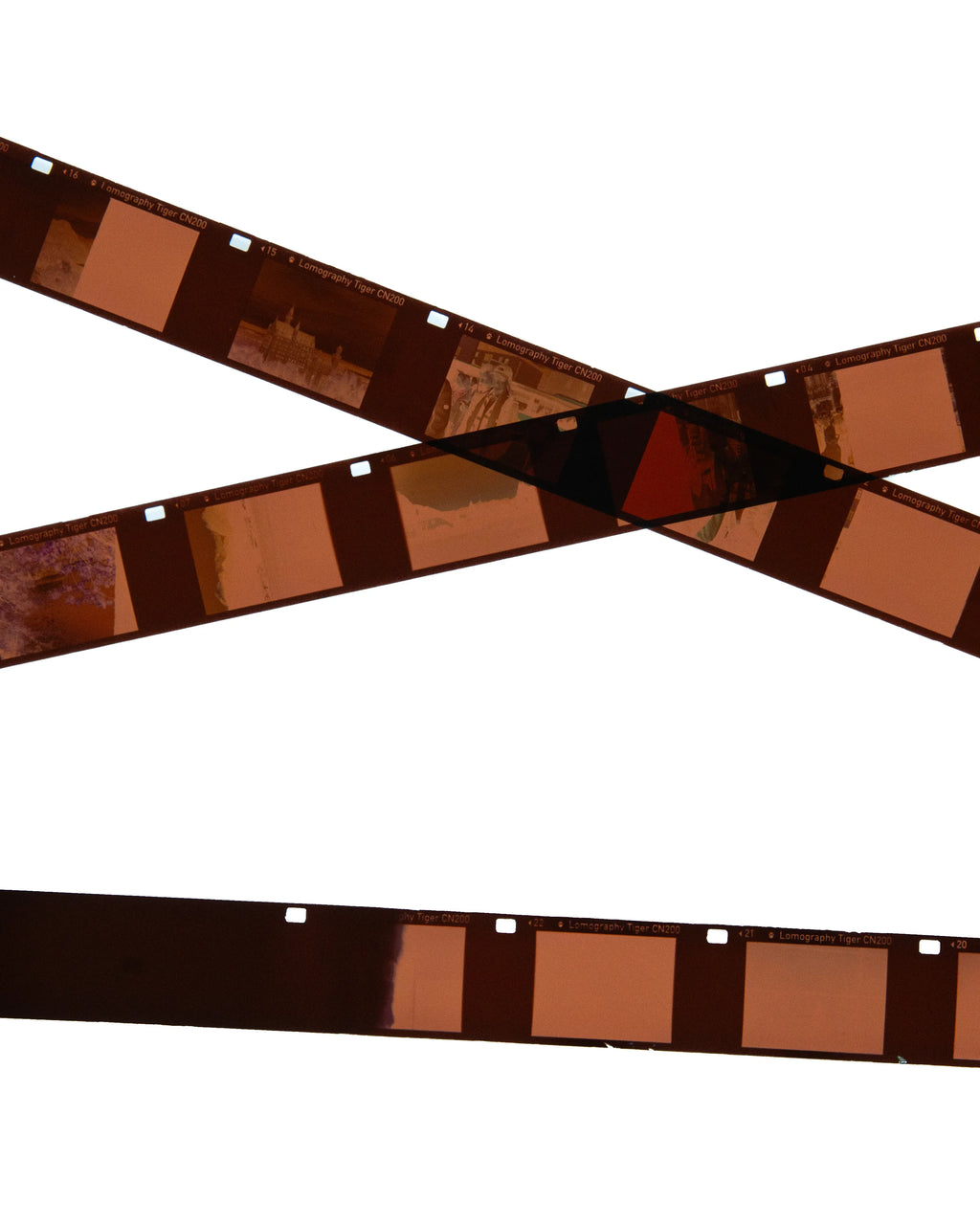 C41 Color Film Development - Photo Studio Berlin